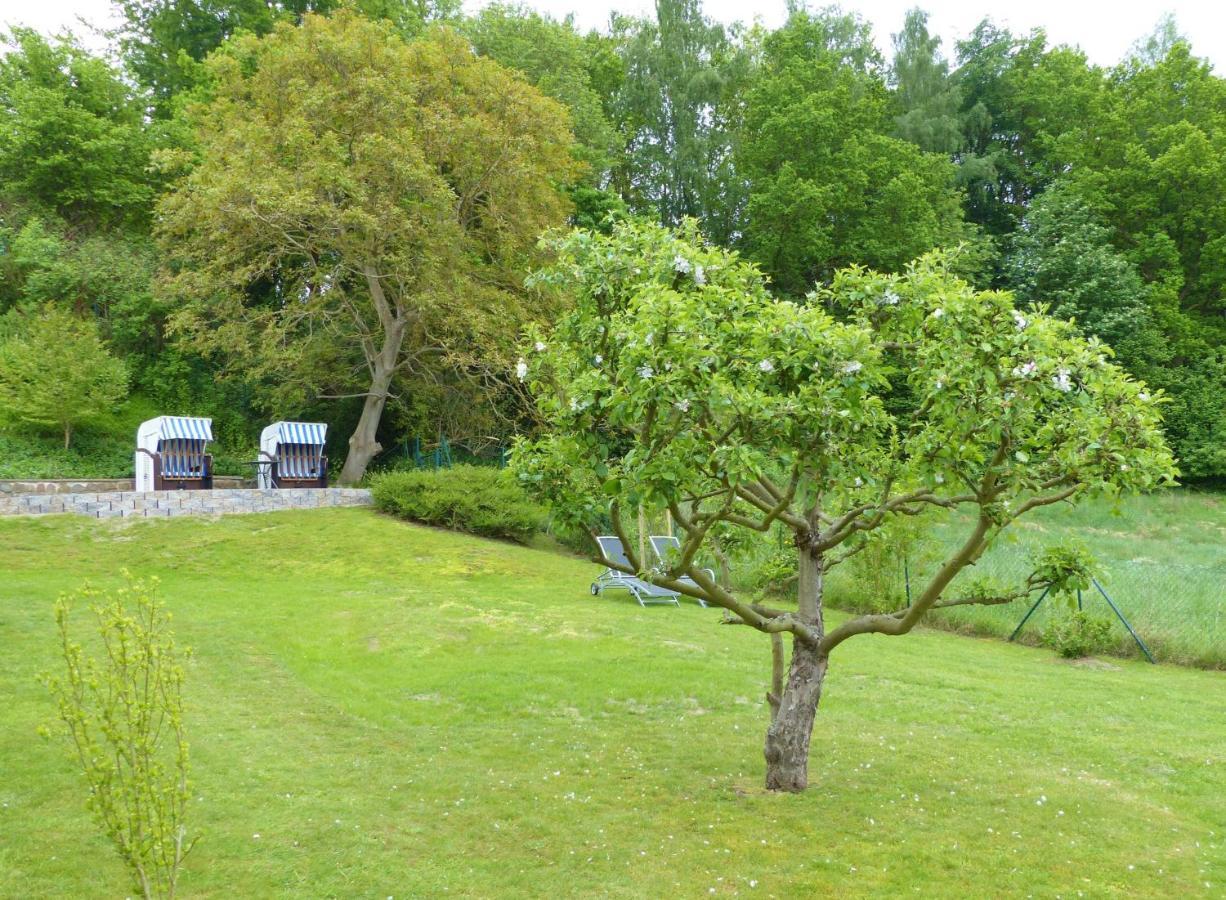 Ferienhaus Am Schmachter See 宾茨 外观 照片